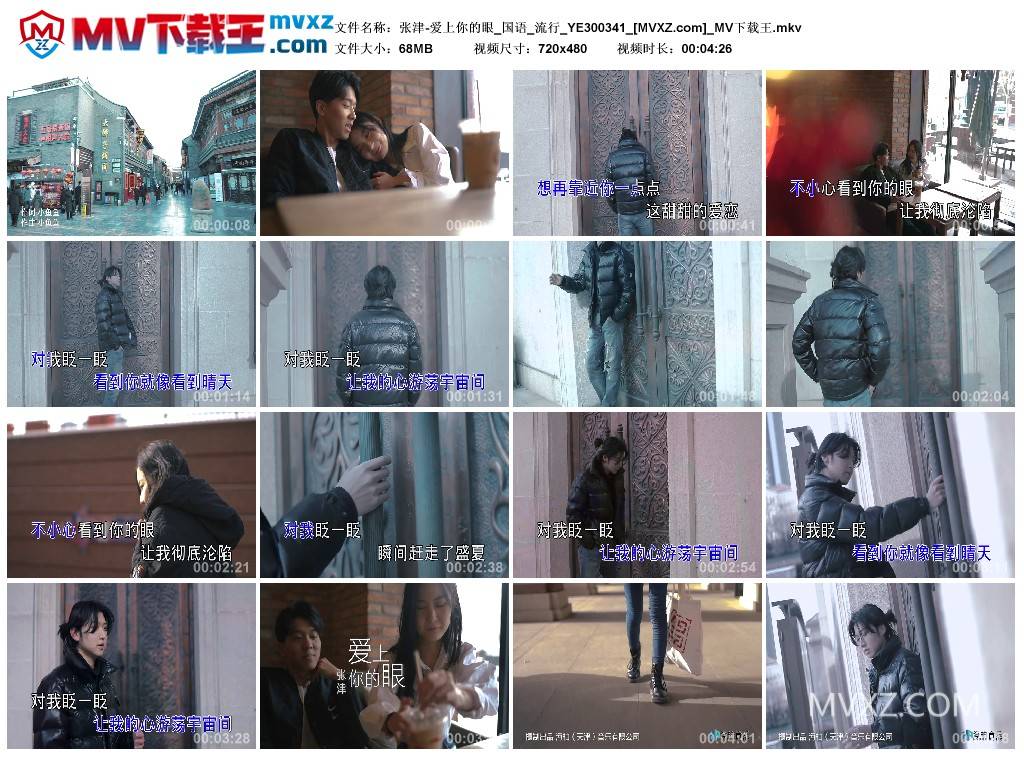 张津-爱上你的眼_国语_流行_YE300341